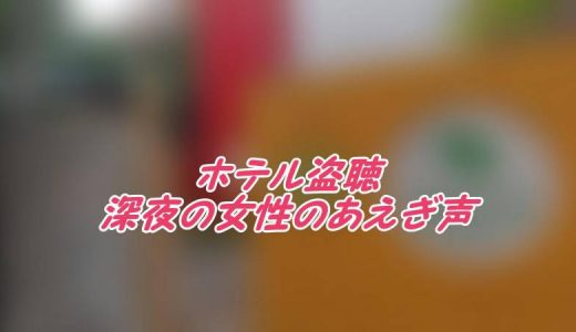盗聴】ビジネスホテル風のラブホテルで女性のあえぎ声を撮る・・・④