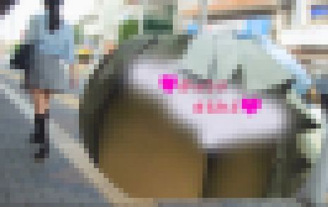 「見ないで下さい！」エロレース下着の制服ミニスカ女子を階段追い撮り盗撮動画