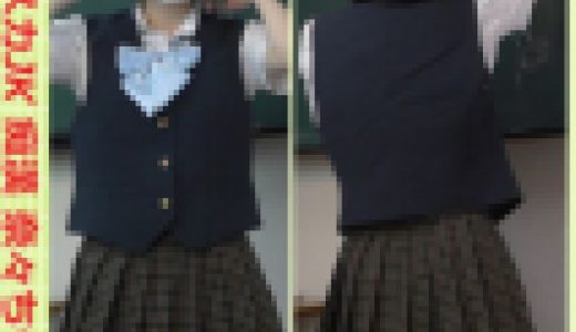 超ミニスカジェーケー痴漢 奈々ちゃん５