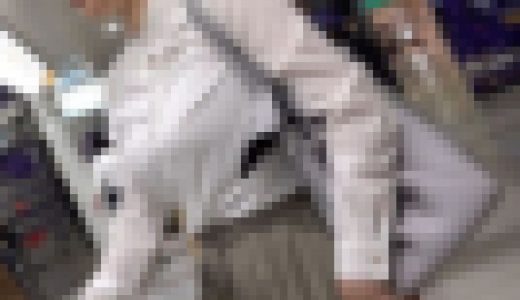 おかず178（爆乳揉みしだき乳OL様の暴れ牛な乳）