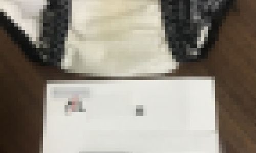 高貴な下着♪飛べないCA鳥カゴ日記001