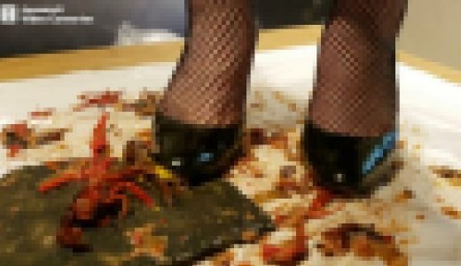 かなみん-ダイアナパンプスとザリガニ３－１