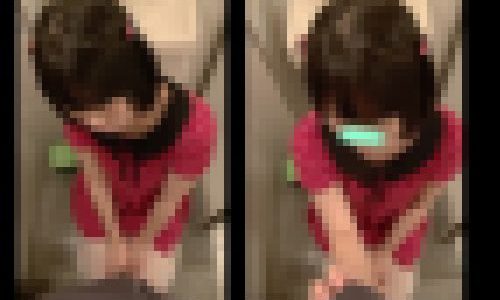 公園の子 言葉巧みにトイレへ「軽くタッチするだけだから…」