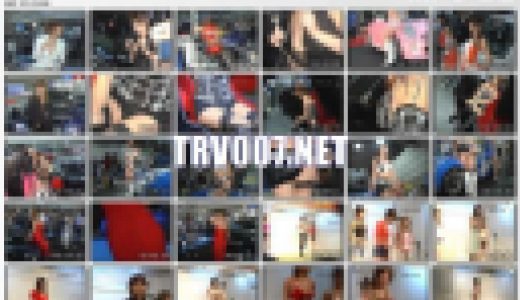 [SD]k06005 2006名古屋ドリームカー1 セット販売 1/6-6/6