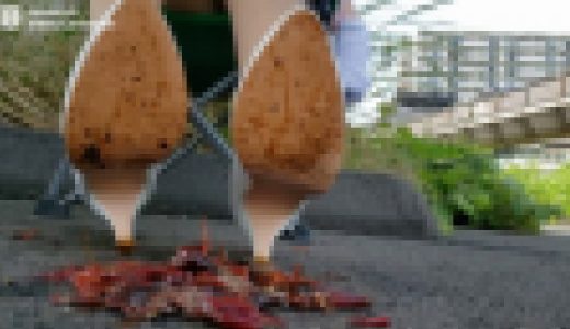 詩歩ザリ１－４（ラスト）