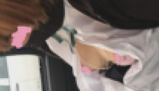 DUCK011 乳首撮り逃げ　車内侵入しておっぱい撮影して起きたので逃げた…