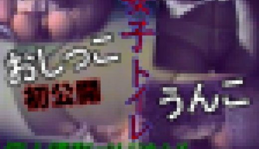 Vol.２ 女子トイレ放尿うんこ素人パンスト脱ぎ履きオシッコ排便盗撮