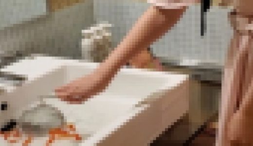 【ひなちゃん】金魚ローファー１