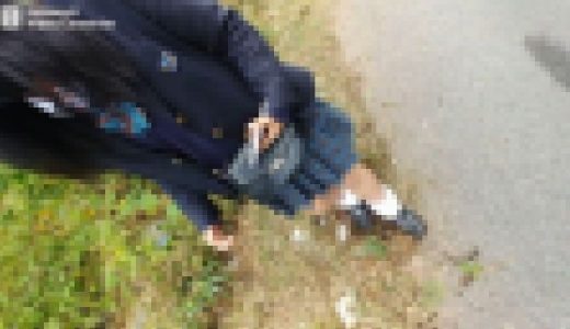 １２．りりか前編（ハルタ）