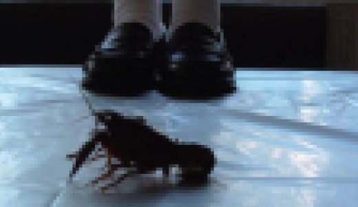 ののかちゃんのハルタとザリガニ / お試し