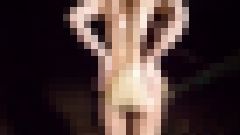 深夜の公園に現れる水着美女