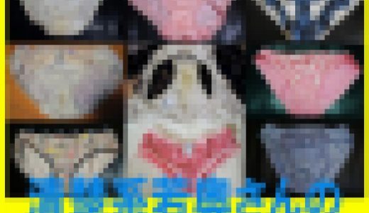 【パンティ単体17日分】清楚系若奥さんの小便臭生パンティのシミ記録