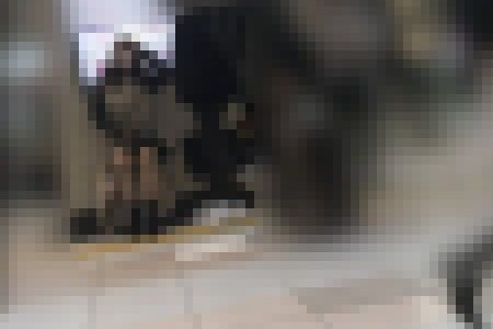 【パンチラ】聖なる夜