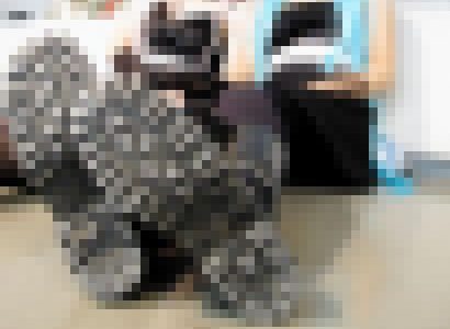 コスプレイヤーの靴底／靴裏（イベント編①）