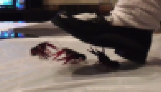 鈴木穂乃花 / ザリガニ３ー１