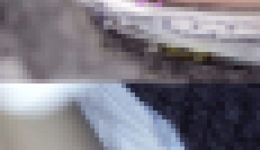 【優等生美人ママ＆イケイケ若ママ】【ズボンからはみ出したムチムチ生尻】【モジャ毛丸出し純白パンティー】