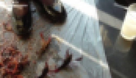 アパレル店員のザリガニ踏み潰し６－２