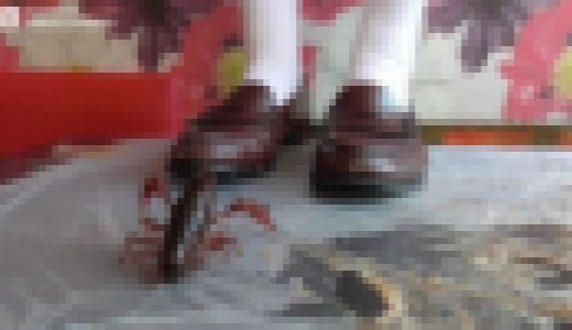 ゆりあ / ザリガニ３匹 / メイド服とハルタ茶２