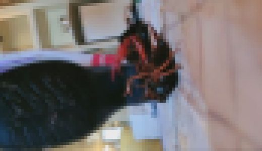 みくちゃんの馬〇ローファーでザリガニＣＲＵＳＨ　ＶＯＬ１