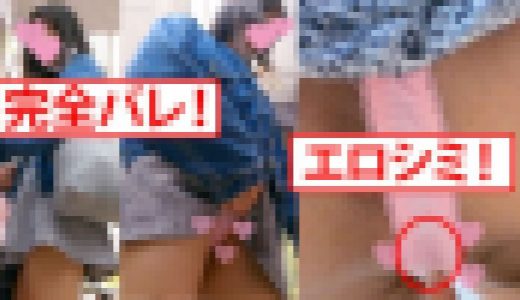 完全撮影バレ！呆れながらもしっかり見せてくれるエッチなお姉さん！見られて興奮して股間はヌレヌレ_TPC-049