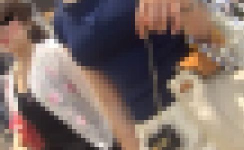 神乳！マシュマログラマーHカップニットお姉様の神すぎる乳！