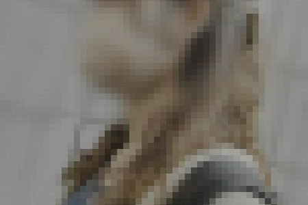 街のキレイなお姉さん