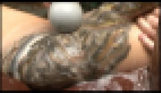 【Q-Wa】うなぎ●大研究 #005 [QSWS-005-01]