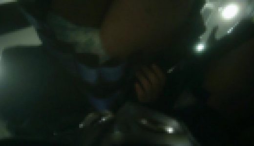 猫のお散歩32