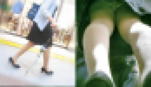 【エスカ3】やっぱOLさんの脚は気持ちいい（しまうまP）