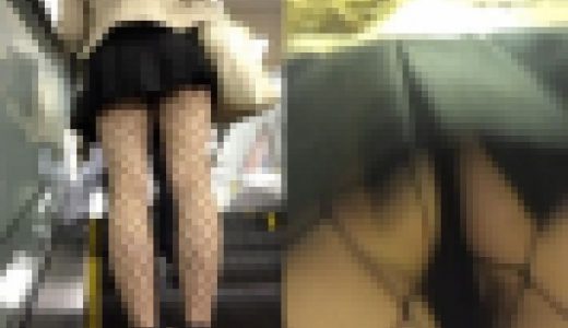 期間限定セット販売！！逆さTバック詰め合わせ