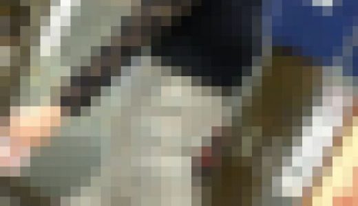 おかず635（シースルードレッシーボインが炸裂！！隠れ暴れGカップ乳お姉様！）