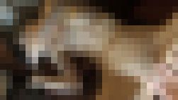 【個撮】47分 スレンダーセフレちゃん20歳