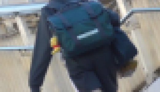 【マチドリ！！】街中のハーパン娘　動画Ver.
