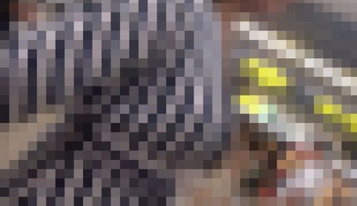 おかず724（爆乳夜の蝶！爆乳をブルンブルンさせ男を悩殺！）