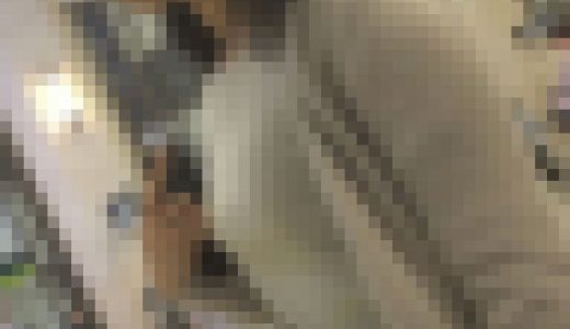 おかず813（女子アナクラスの顔面美貌な美人お姉様！）