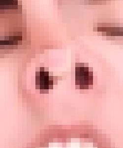 プレミア★ノーズＸＸ　大胆な清楚系眼鏡美女