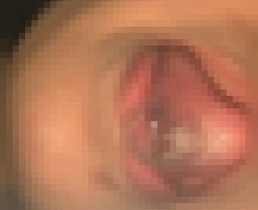 ヌメった舌と口内から吐き出されたネバついた唾液。