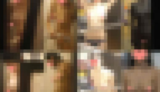 《★期間限定＝永久保存版》完全素人、モデル・女子大生・爆乳美女たちによる美しいおっぱいシーンの詰合せ