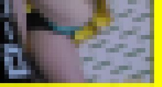 4745／「偽装撮り・キャンちゃん私家盤コレクション（26）」