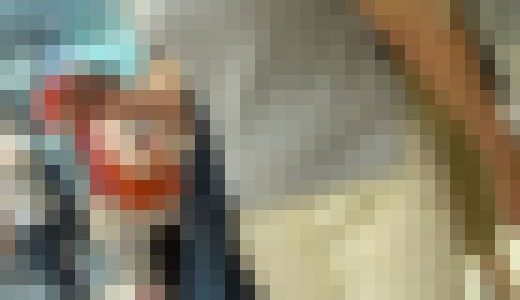 No248 作品（Aランク）