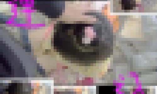 髪の毛も掴んで…ア●カツで釣り連込いたずら