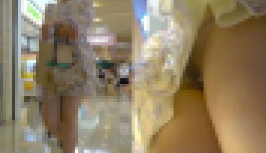 [4K 60fps] ほんこんショッピング　024