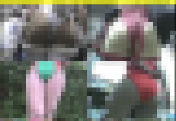 AI2085／「忍び撮り・コスプレーヤー秘録（５）」