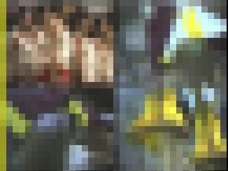 AI2904／「〔極限的画質盤〕黄金のチアガール伝説（４）」