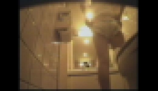 流出映像ドキュメント！File.17