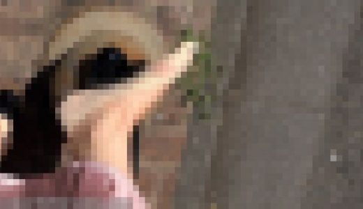 歩きすぎて足が臭くなりすぎた女性の足指f833