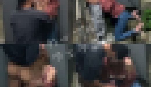 【野外フェラ盗〇】人気のない場所で発情したカップルのフェラ動画流〇させちゃいます