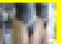 3583／「陶酔撮り・キャンちゃんと飛ぼう（４）」