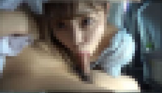 [別アングル]車内でフェラ抜き強〇３連続大量口内発射☆女子大生キャバ嬢 藍ちゃん21才