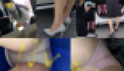 セット販売　会社の同僚、社用車片付け中にパンチラ撮影！ NO.13、14